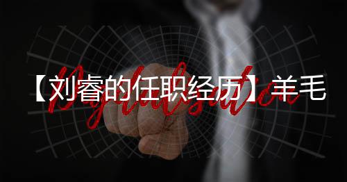 【刘睿的任职经历】羊毛地毯如何清洗