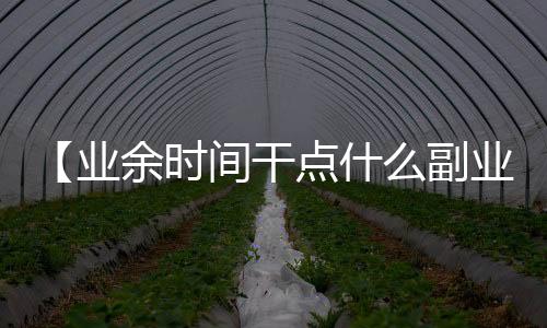 【业余时间干点什么副业】青芒太硬了怎么催熟