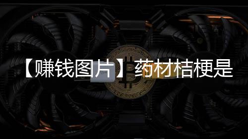 【赚钱图片】药材桔梗是什么样的